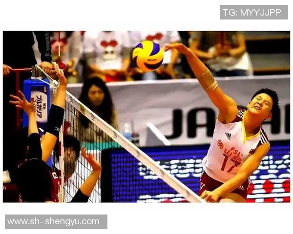 张磊的排球人生:从赛场拼搏到心灵成长的对话分享 张磊的排球人生:从赛场拼搏到心灵成长的对话分享