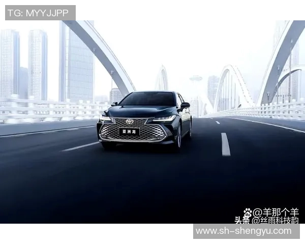 深圳乒乓球队在洲际杯积分榜上以95分稳居第一名展现强劲实力