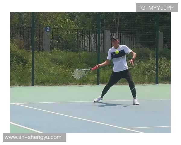 重庆网球队在全国网球耐力排行榜中荣获第八名的佳绩引发关注 重庆网球队在全国网球耐力排行榜中荣获第八名的佳绩引发关注