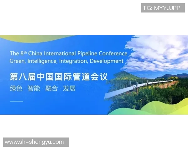 李泓澎的成长之路与未来展望：从学术到实践的多元探索与创新