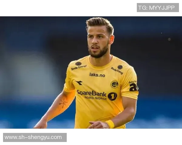 波尔图与多特蒙德激战在即谁将赢得这场欧战巅峰对决