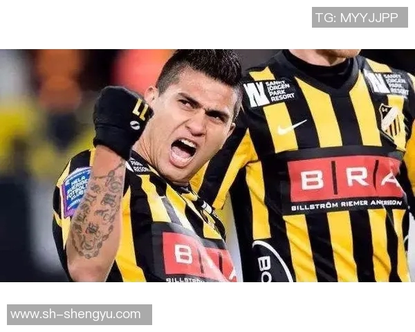 赫尔辛堡与天狼星2019年对决回顾及精彩瞬间分析