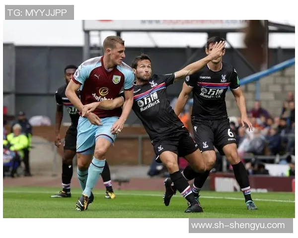 维拉与布伦特激战正酣赛季关键对决引发球迷热议