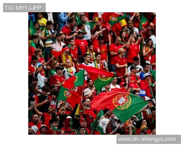 葡萄牙与安道尔精彩对决集锦回顾球迷不容错过的瞬间分析 葡萄牙与安道尔精彩对决集锦回顾球迷不容错过的瞬间分析