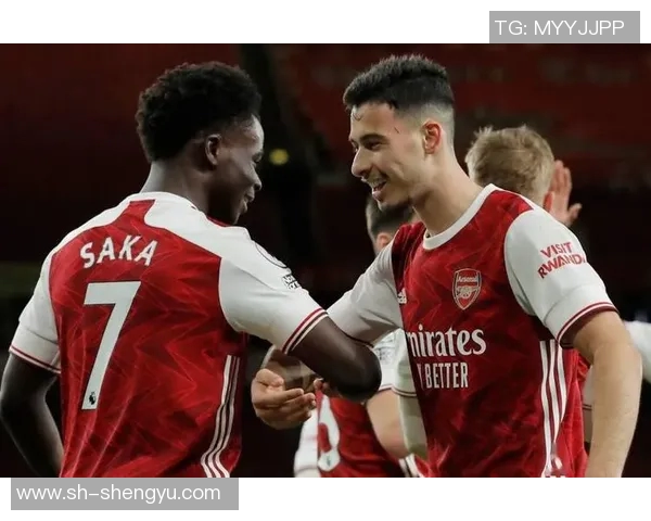 马丁内利：从青涩小将到英超赛场的璀璨明星之路