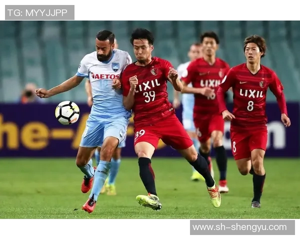 鸟栖沙岩与香港的文化交融探讨与自然景观的奇妙对比