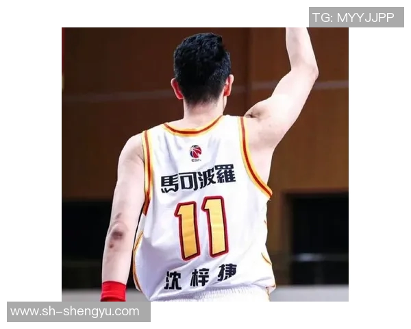 沈梓捷与胡金秋的对决谁能在篮球赛场上书写新的传奇篇章