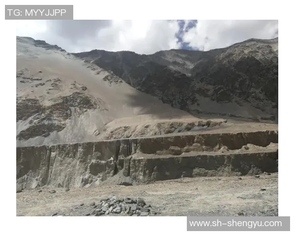 深度对话：探索陈敏在CSGO世界中的成长与挑战之路