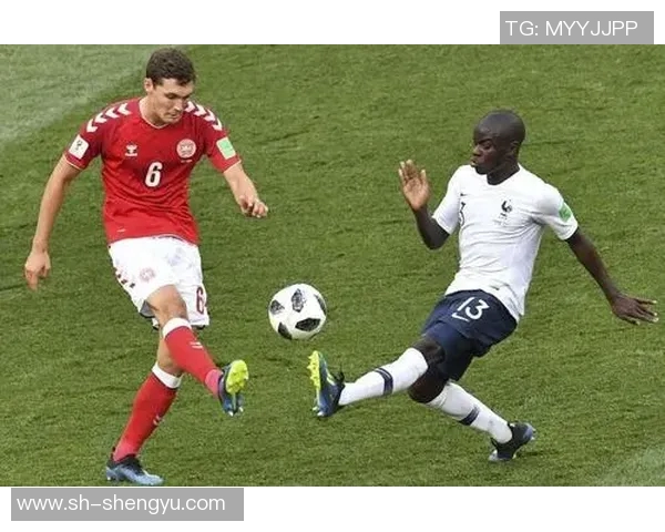 瑞典与法国足球直播精彩对决全程回顾与分析