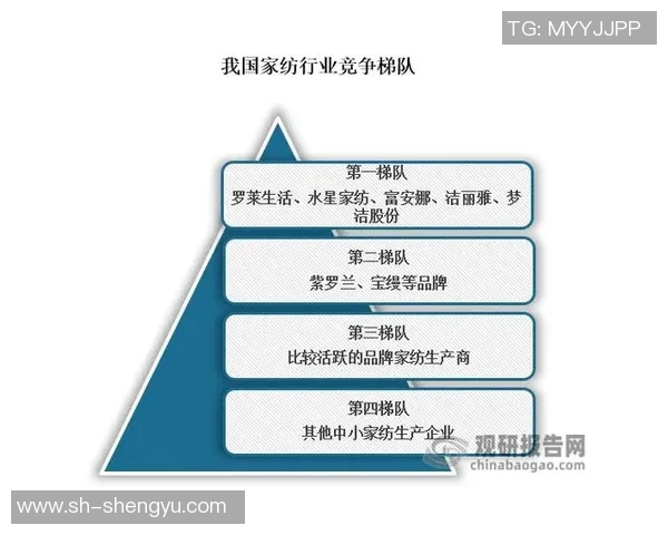 赖斯的外交策略与全球影响力分析探讨