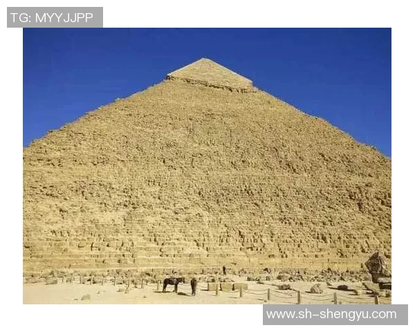 埃及与科威特足球赛技术统计全面分析与对比解读 埃及与科威特足球赛技术统计全面分析与对比解读