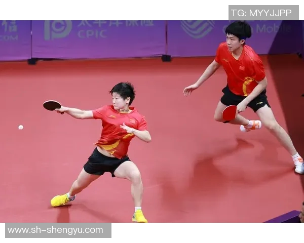 杭州乒乓球队比赛经验分享与成长之路探讨MBA 杭州乒乓球队比赛经验分享与成长之路探讨MBA