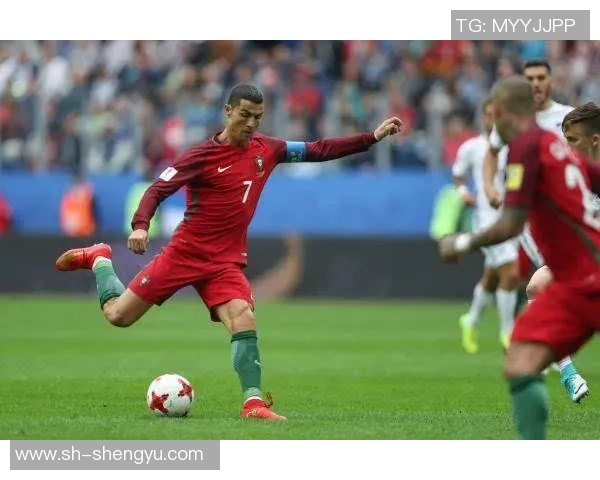 新西兰与葡萄牙对决看点分析球队实力与战术对比全解析 新西兰与葡萄牙对决看点分析球队实力与战术对比全解析