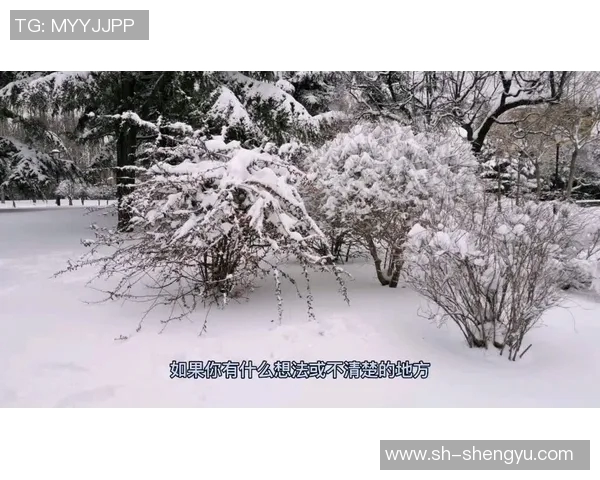 武汉乒乓球队盯防战术解析与热点动态深度解读 武汉乒乓球队盯防战术解析与热点动态深度解读