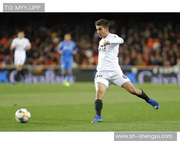 费兰托雷斯：从新星崛起到世界足球舞台的闪耀之旅