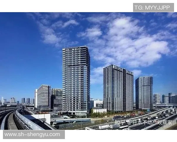 北京篮球队实力飙升全新排名创历史新高引发关注与期待