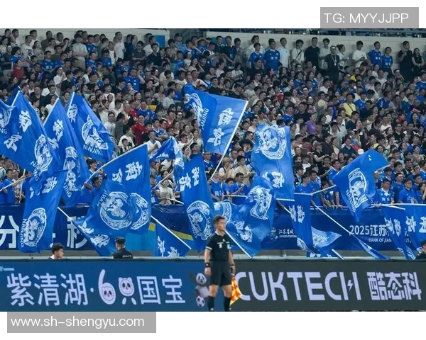 南京足球队的节奏解析与未来发展趋势探讨